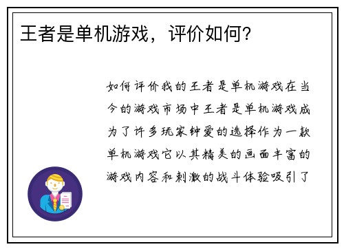 王者是单机游戏，评价如何？